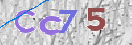 Obraz CAPTCHY