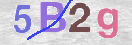 Obraz CAPTCHY