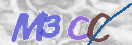 Obraz CAPTCHY