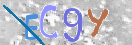 Obraz CAPTCHY