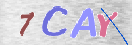 Obraz CAPTCHY