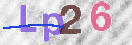 Obraz CAPTCHY