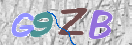 Obraz CAPTCHY