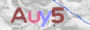 Obraz CAPTCHY