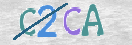 Obraz CAPTCHY