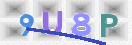 Obraz CAPTCHY