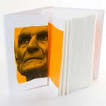 Marian Pankowski, Królestwo